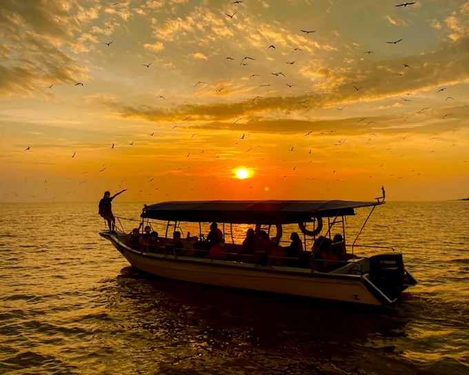 From Kuala Lumpur: Kuala Selangor Eagle-Watching, Fireflies and Blue Tears Tour (Product 54319)