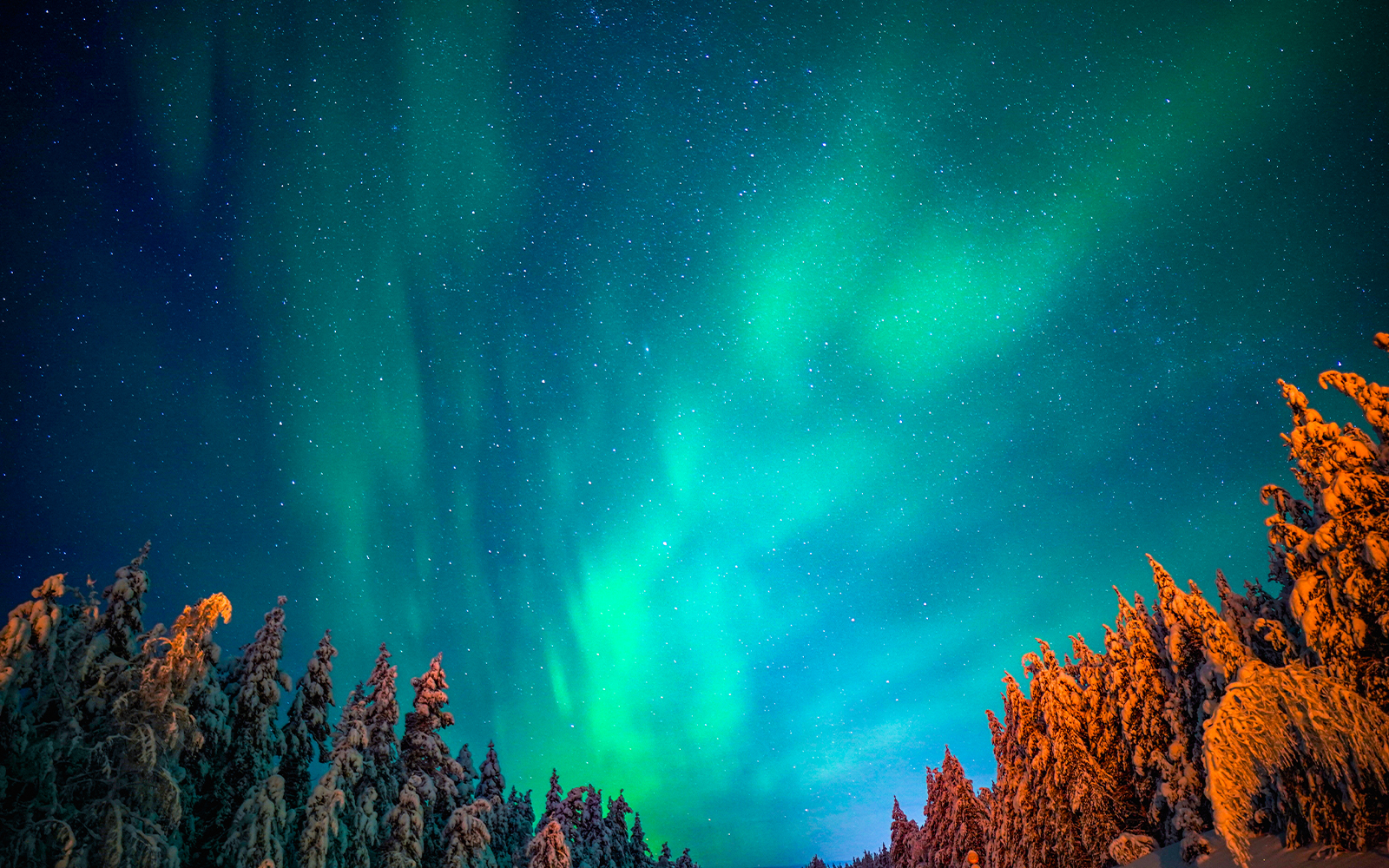 Northern Lights illuminating snowy trees in Rovaniemi, Finland.