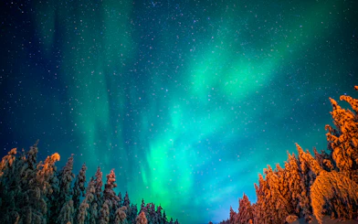 Northern Lights illuminating snowy trees in Rovaniemi, Finland.