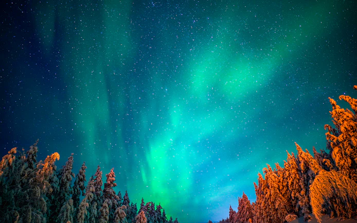 Northern Lights illuminating snowy trees in Rovaniemi, Finland.