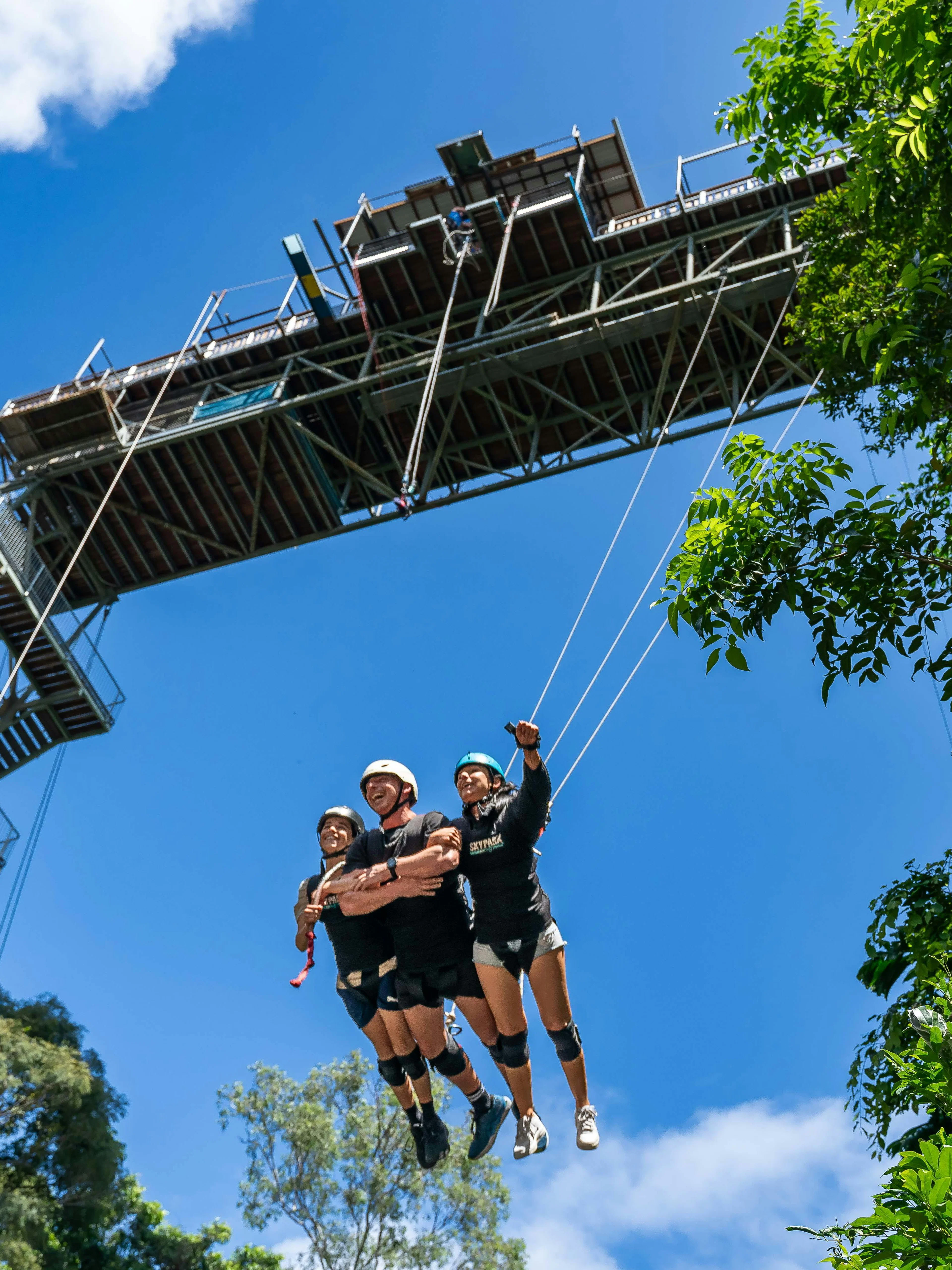 Visitors swinging from a high platform amidst lush greenery and blue sky.