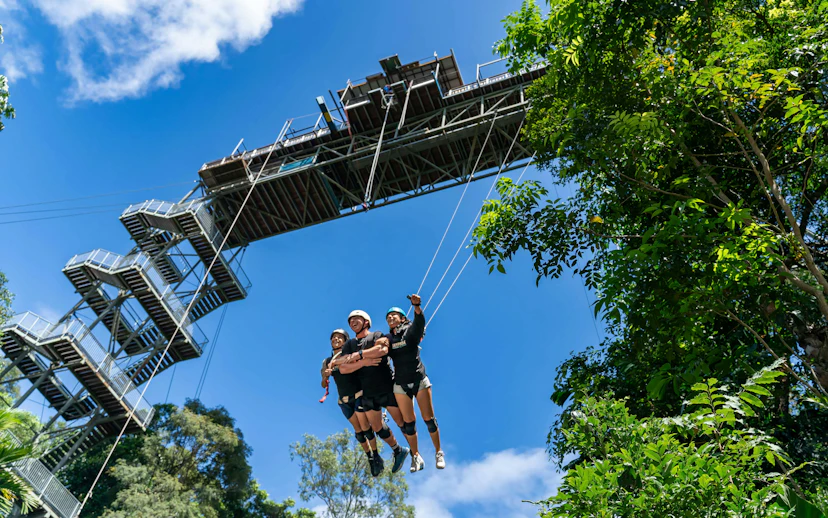 Visitors swinging from a high platform amidst lush greenery and blue sky.
