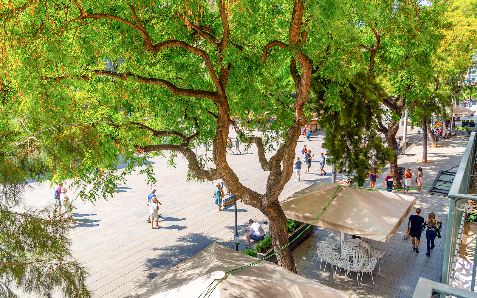 View from a terrace overlooking the Placita de la Seu, the main square in front of the Barcelona Cathedral