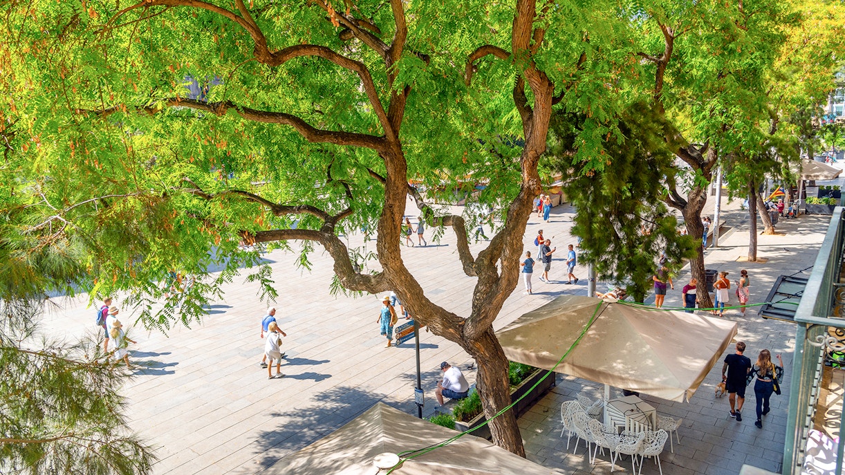 View from a terrace overlooking the Placita de la Seu, the main square in front of the Barcelona Cathedral