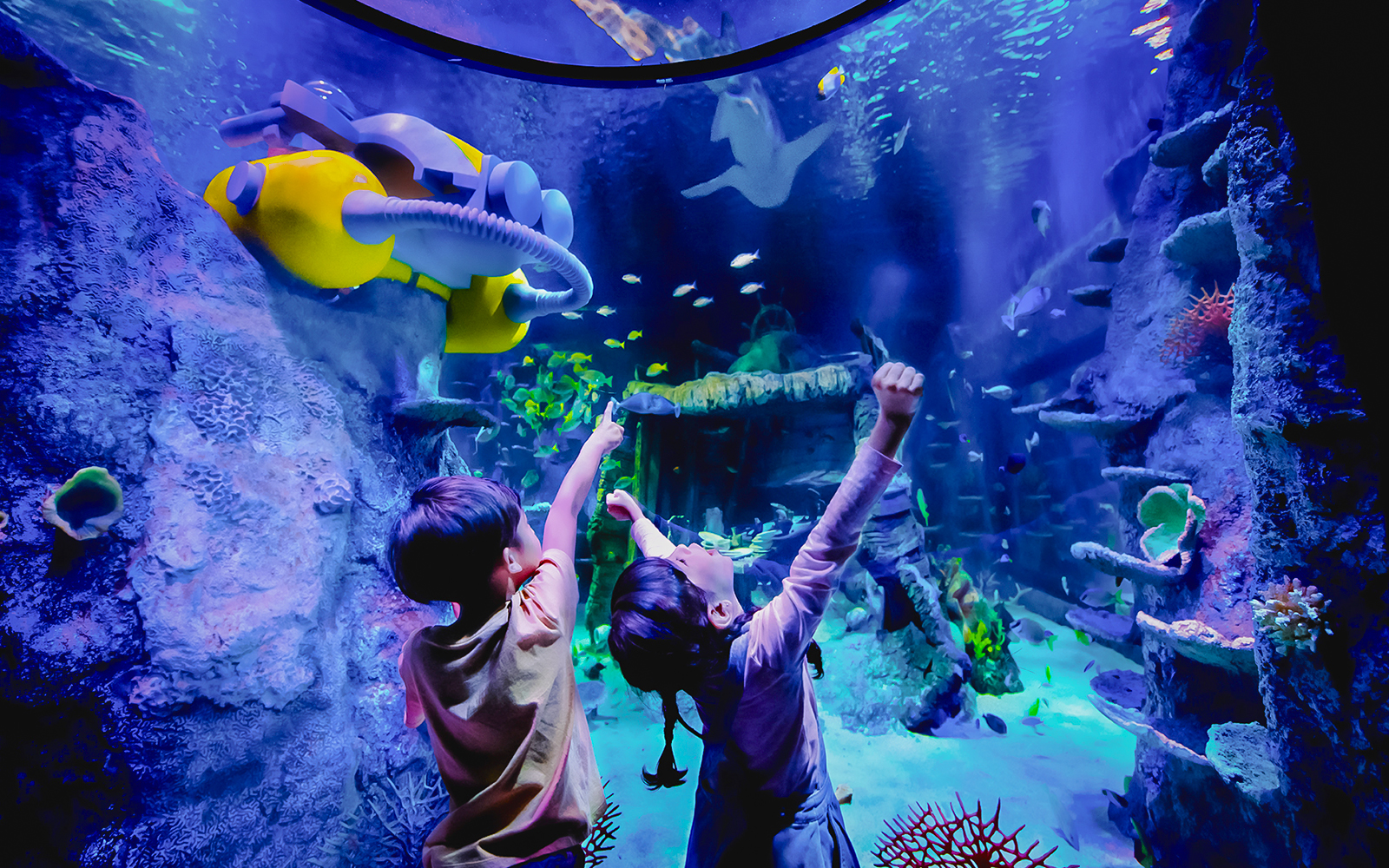 Children exploring underwater scene at Sea Life Aquarium, Legoland Malaysia.