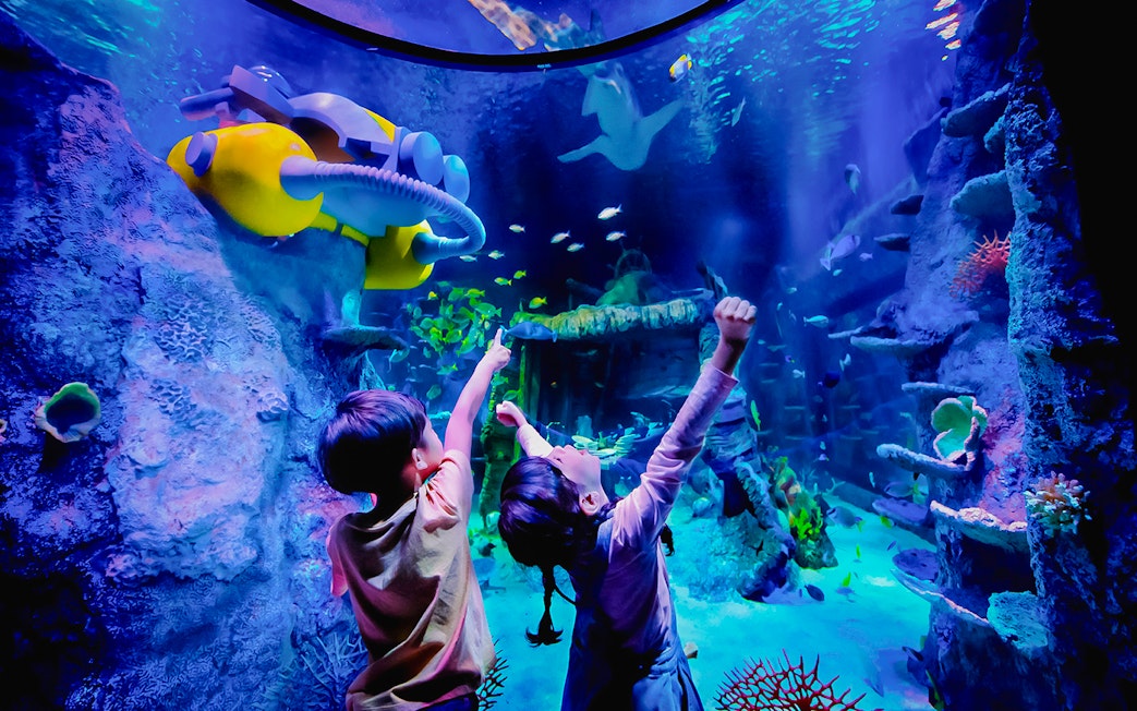 Children exploring underwater scene at Sea Life Aquarium, Legoland Malaysia.