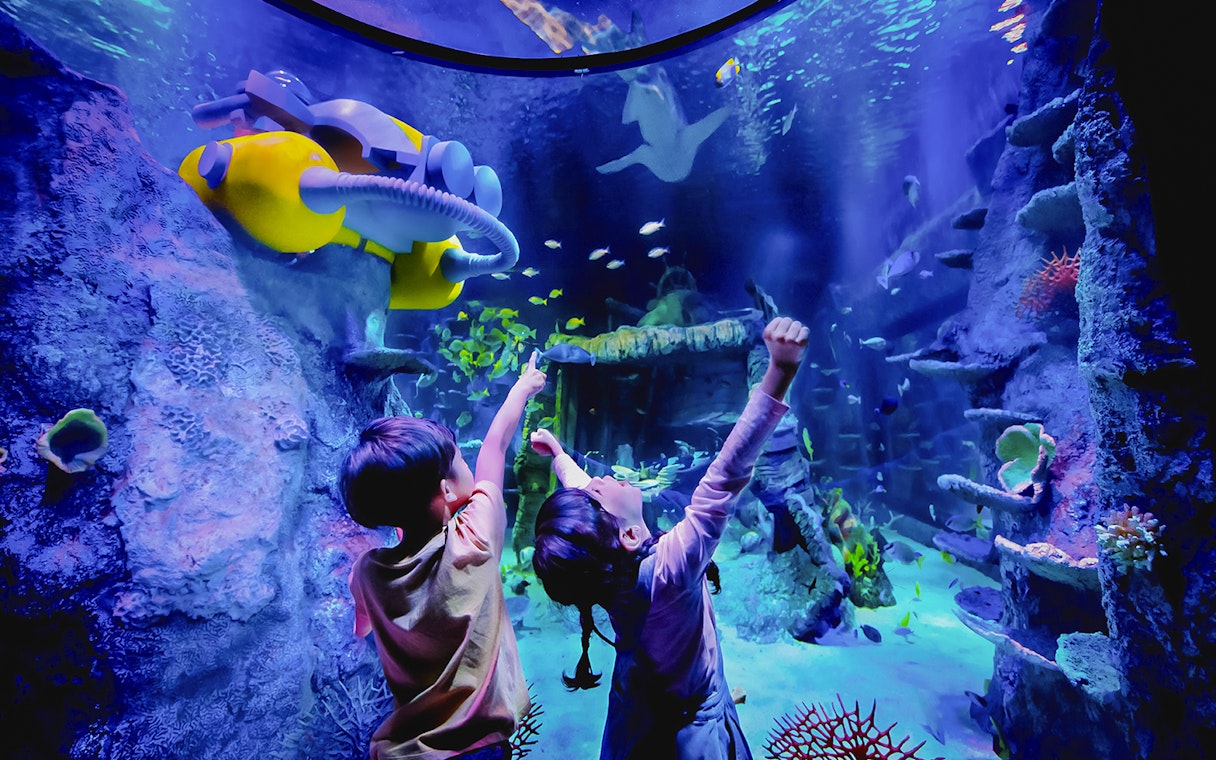 Children exploring underwater scene at Sea Life Aquarium, Legoland Malaysia.