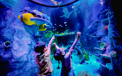 Children exploring underwater scene at Sea Life Aquarium, Legoland Malaysia.