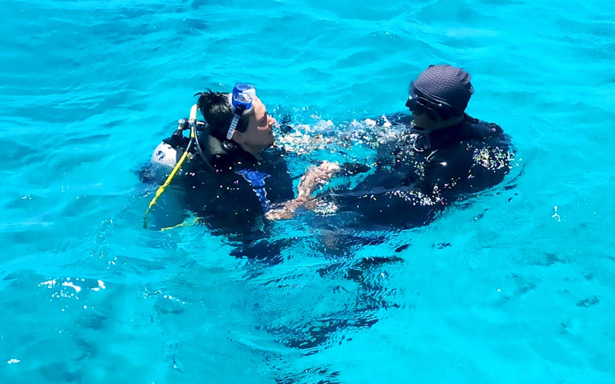 full-day scuba diving boat tour with lunch & transfers-6 full-day scuba diving boat tour with lunch & transfers-6