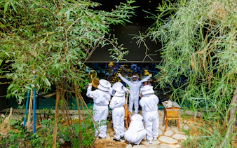 Beekeepers in protective suits tending hives at Terra, Expo City Dubai.