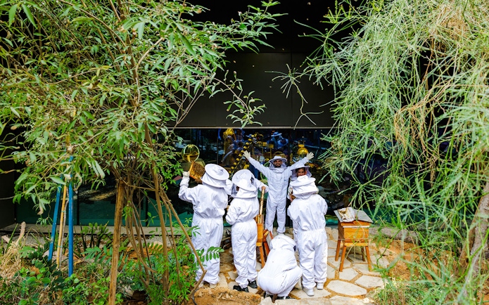 Beekeepers in protective suits tending hives at Terra, Expo City Dubai.