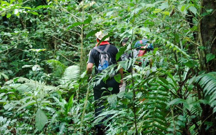 Bali Jungle Trekking, Canoeing & Waterfall Visit with Lunch and Round-Trip Hotel Transfers