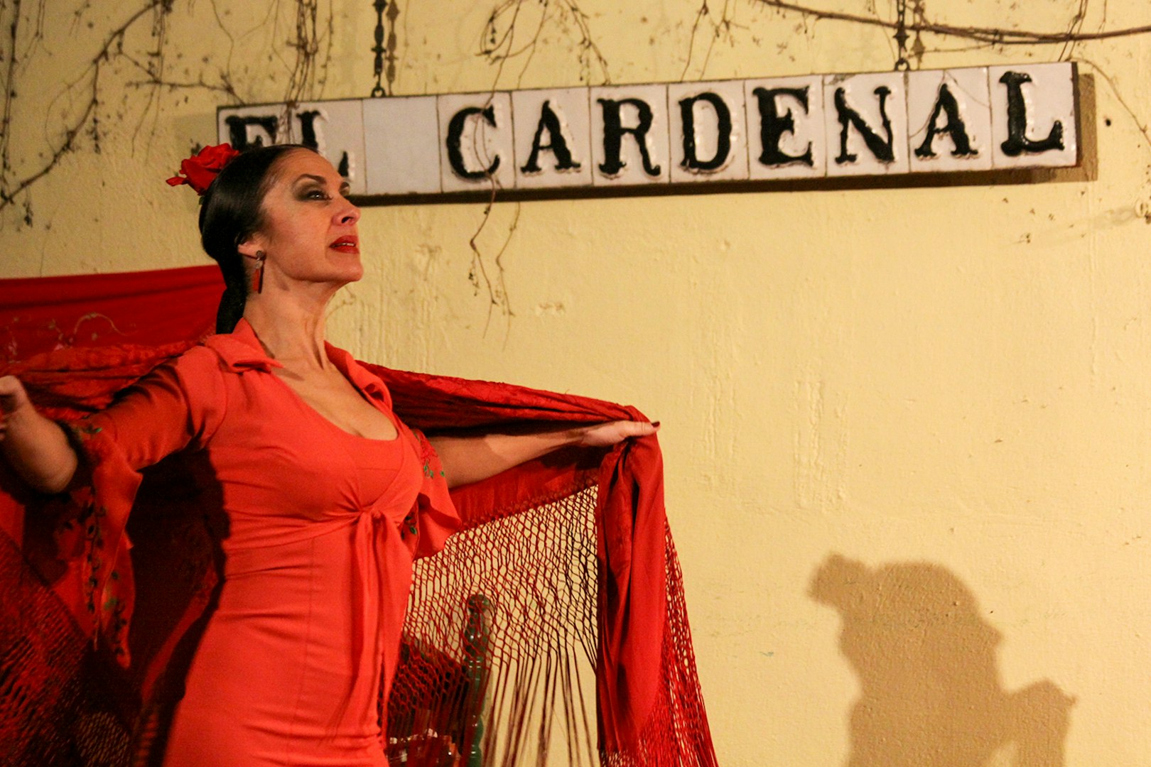 Flamenco dancer performing at Tablao Cardenal in Córdoba, Spain.
