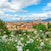 Giardino delle Rose