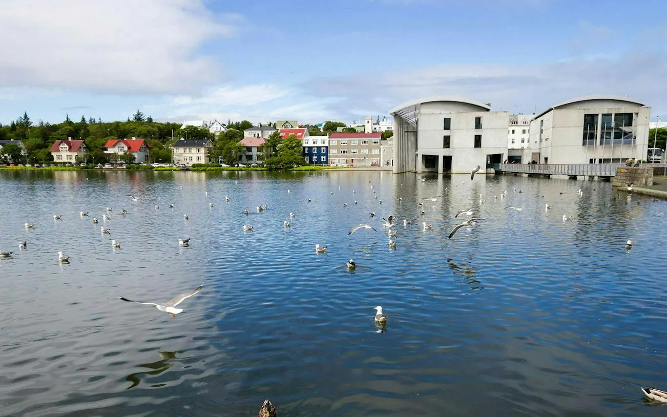 Tjörnin lake with seagulls and Reykjavík City Hall in the background, part of the self-guided city exploration game.