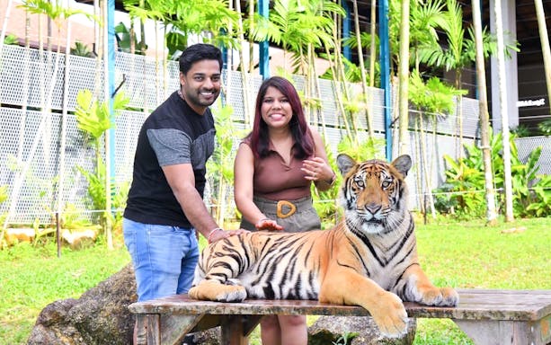 Visitors interacting with a tiger at Tiger Park during a 6-hour tour with hotel transfers.