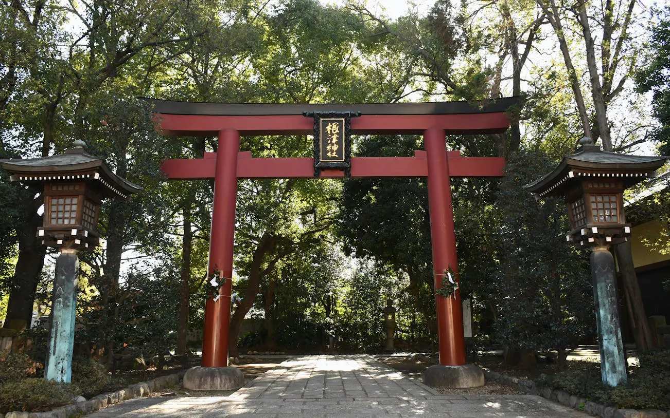 Tokyo Nezu Shrine and Yanaka Old Town Guided Walking Tour