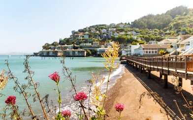 Sausalito waterfront view with flowers and hillside homes, part of Alcatraz and Muir Woods tour.