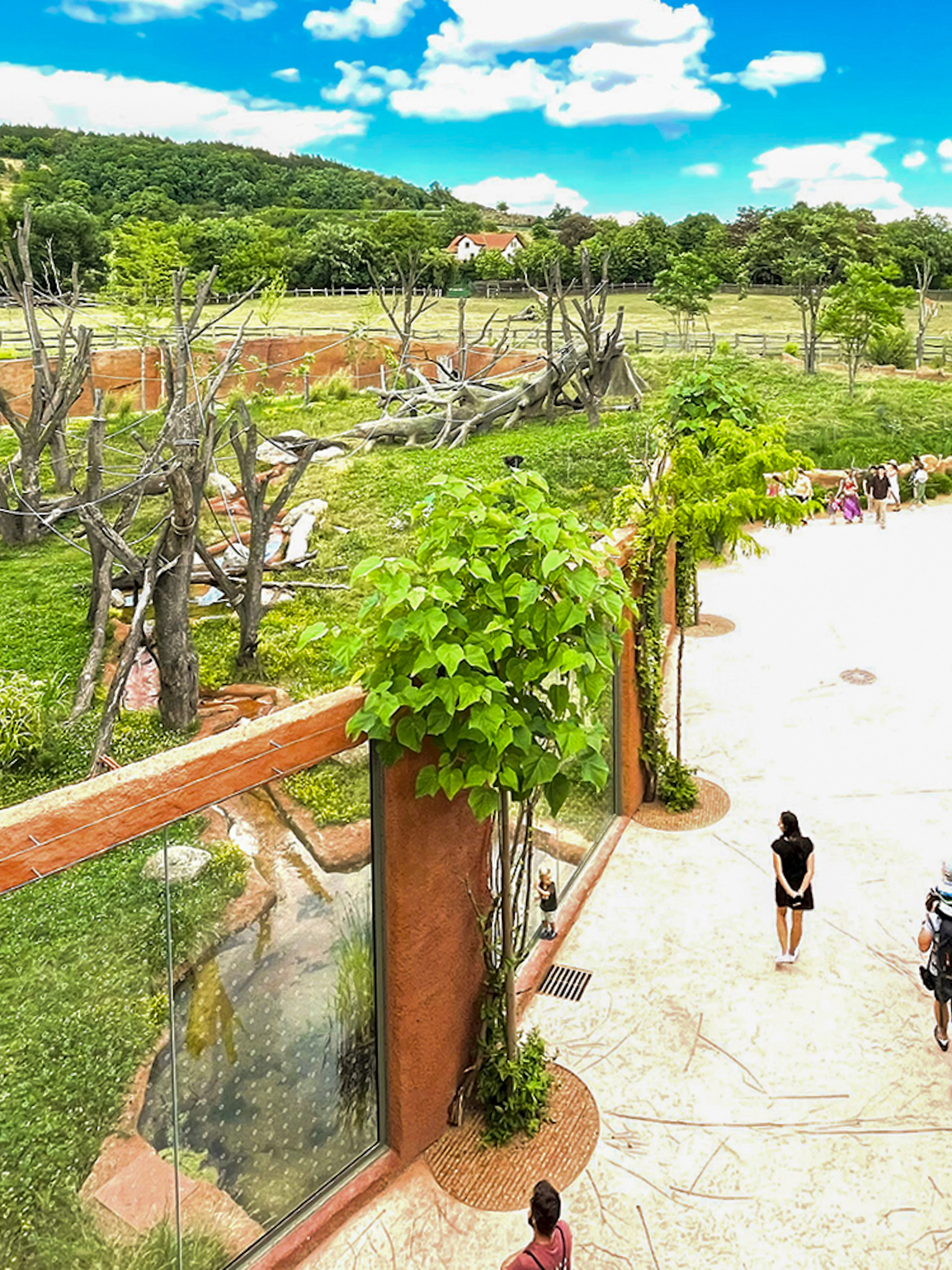 Prague Zoo visitors walking near animal enclosures and seating area.