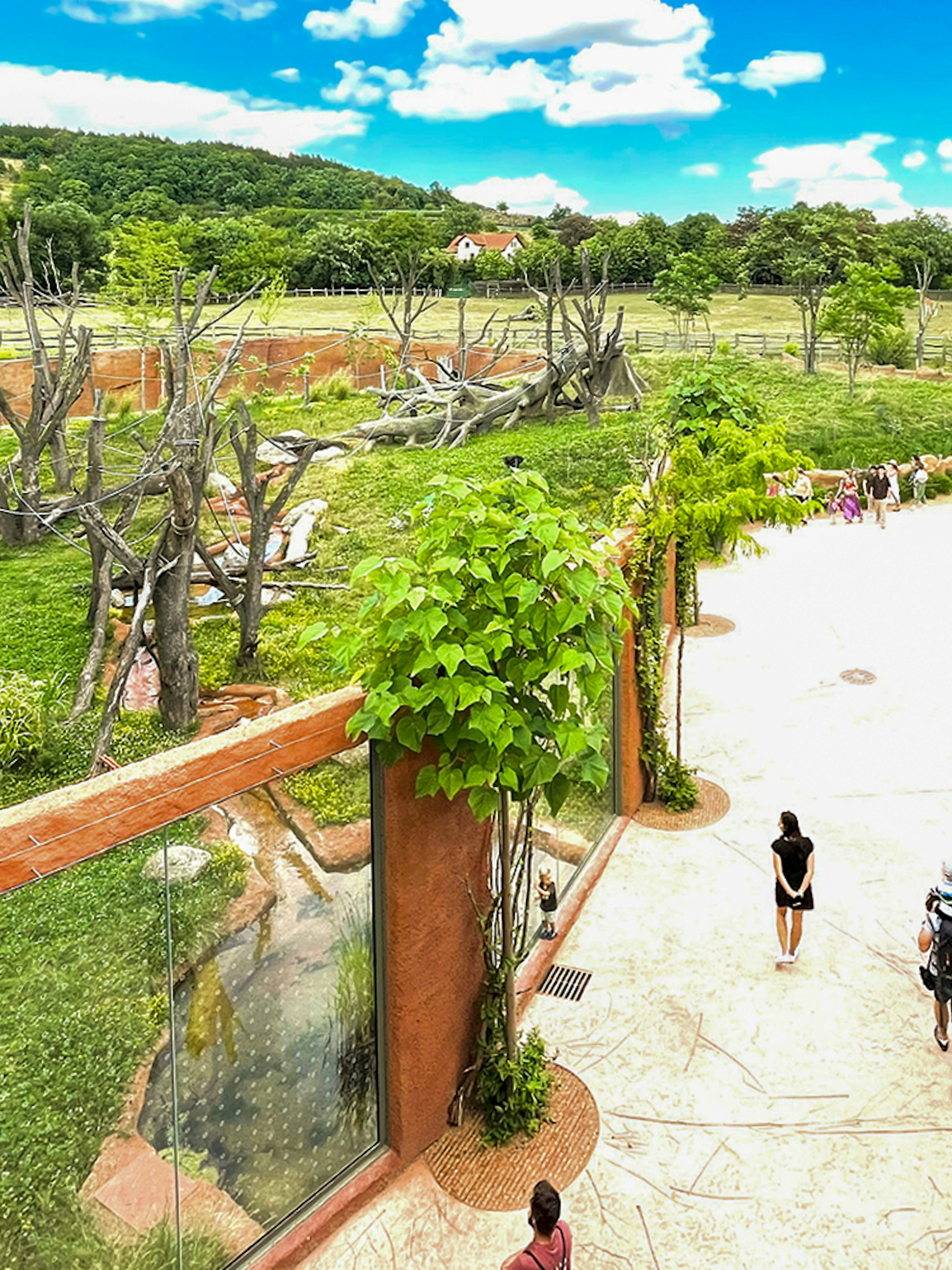 Prague Zoo visitors walking near animal enclosures and seating area.