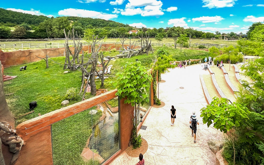 Prague Zoo visitors walking near animal enclosures and seating area.
