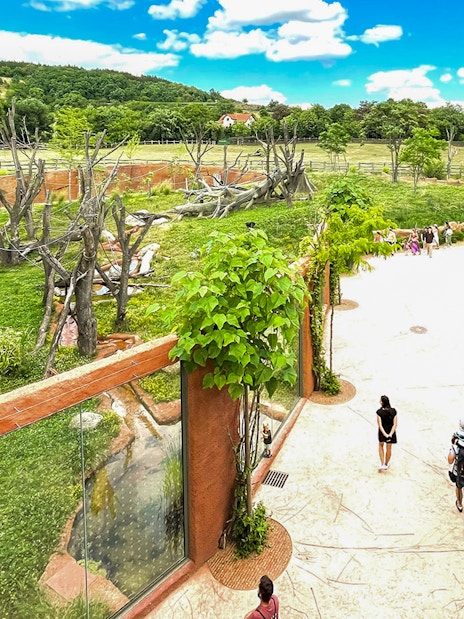 Prague Zoo visitors walking near animal enclosures and seating area.