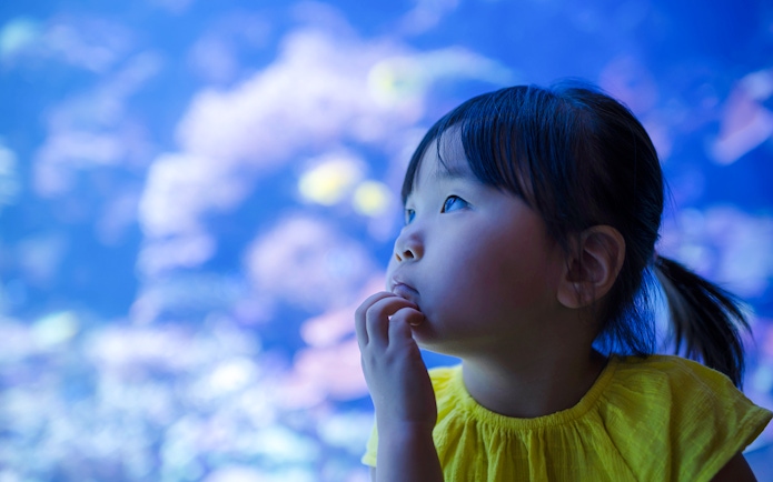 Girl gazing at marine life in an aquarium exhibit.