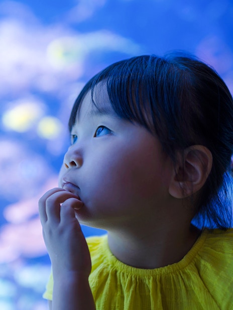 Girl gazing at marine life in an aquarium exhibit.