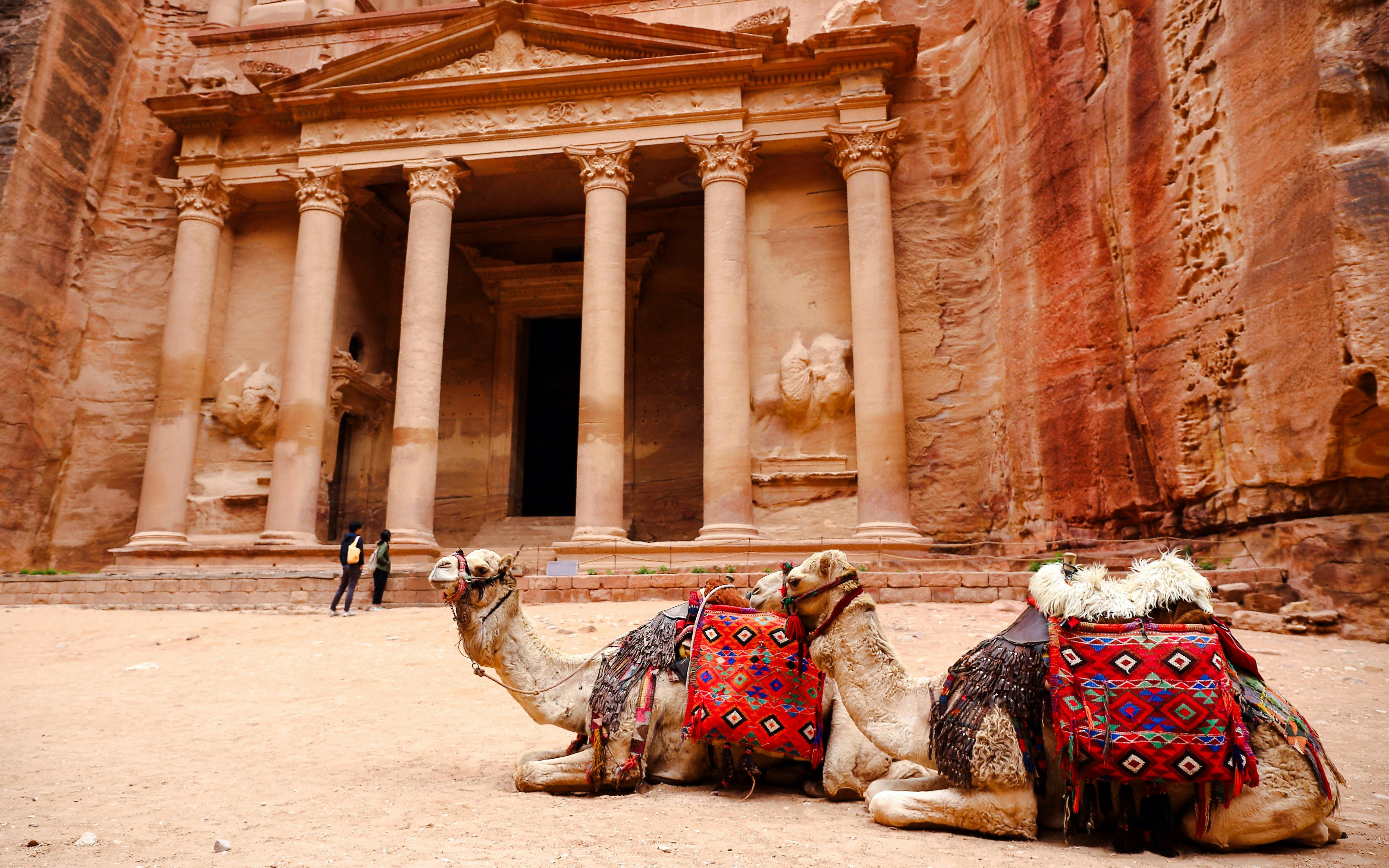 Camel resting in front of the Treasury at Petra, Jordan.