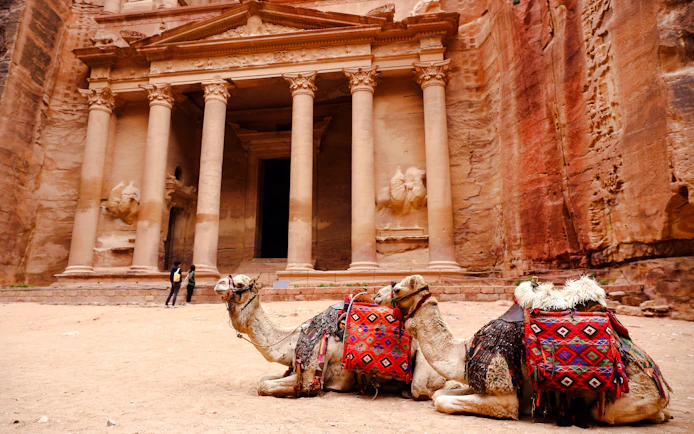 Camel resting in front of the Treasury at Petra, Jordan.