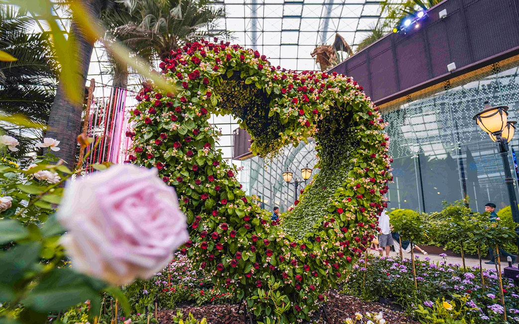Heart-shaped floral display at Flower Dome, Singapore, surrounded by lush greenery and glass ceiling.