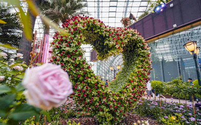 Heart-shaped floral display at Flower Dome, Singapore, surrounded by lush greenery and glass ceiling.