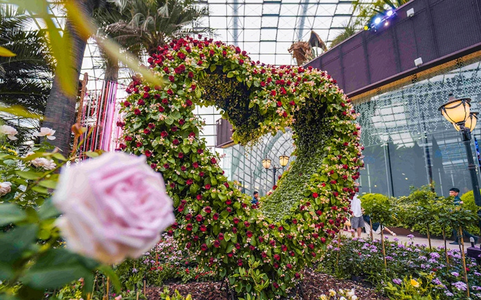 Heart-shaped floral display at Flower Dome, Singapore, surrounded by lush greenery and glass ceiling.