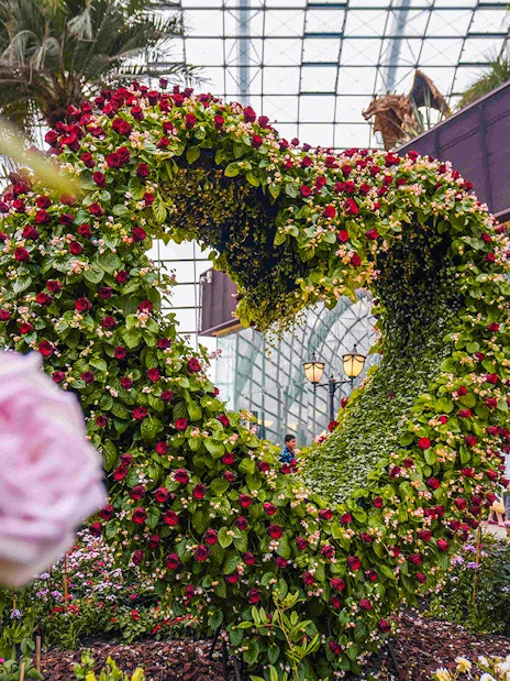 Heart-shaped floral display at Flower Dome, Singapore, surrounded by lush greenery and glass ceiling.