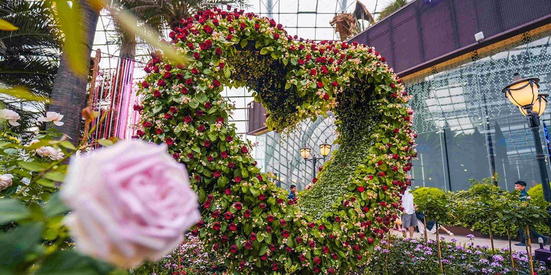 Flower Dome