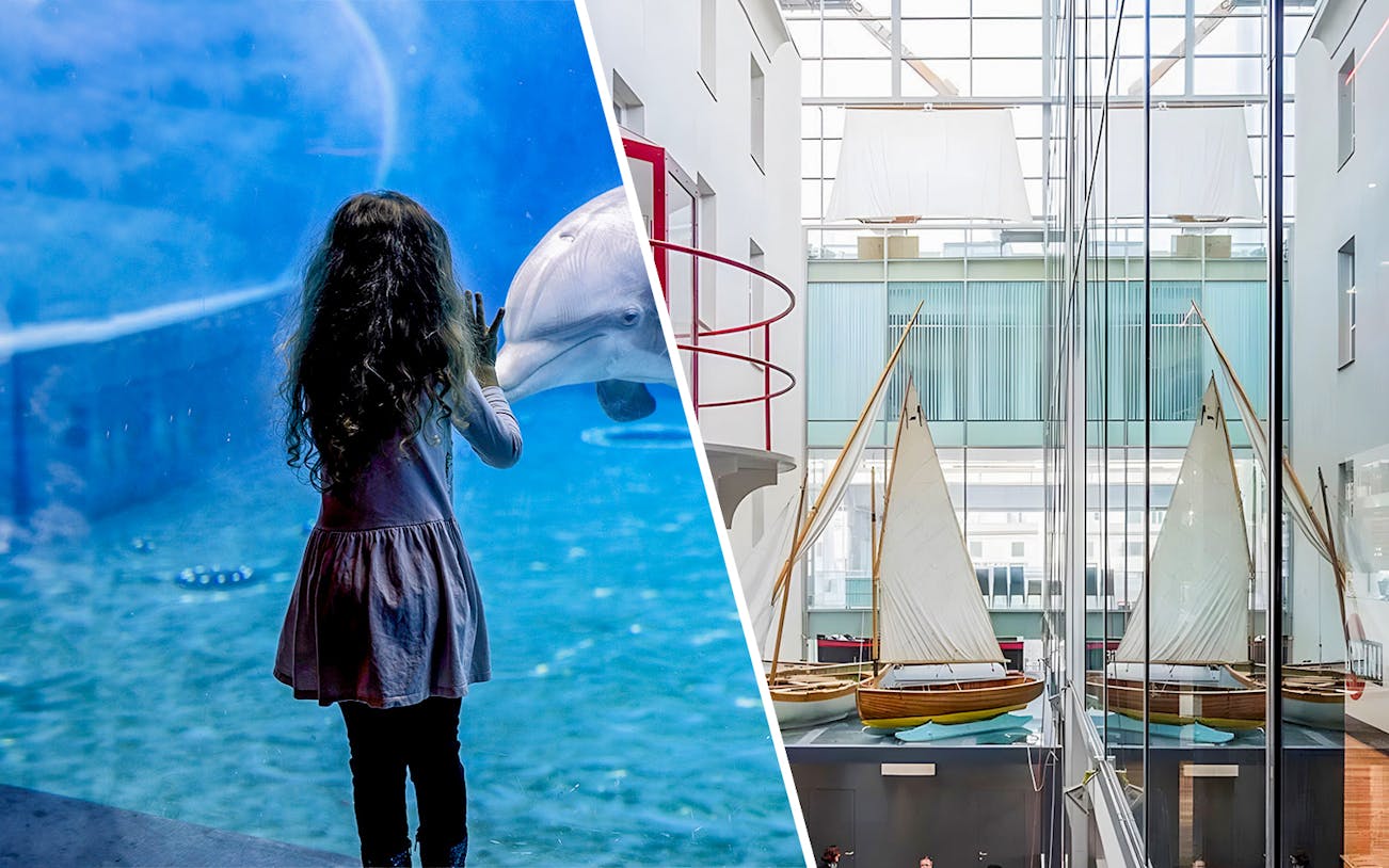 Child observing dolphin at Genoa Aquarium; sailboats displayed at Galata Museo del Mare.