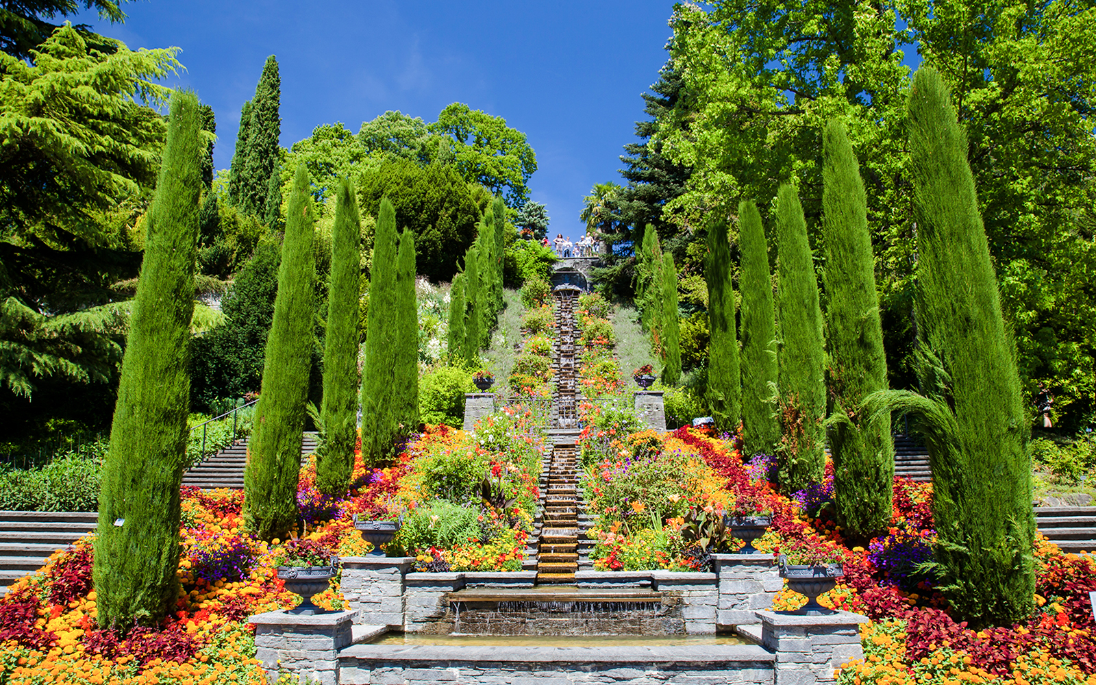 Terraced gardens with vibrant flowers and tall trees on Mainau Flower Island.