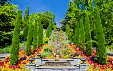 Terraced gardens with vibrant flowers and tall trees on Mainau Flower Island.