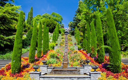 Terraced gardens with vibrant flowers and tall trees on Mainau Flower Island.