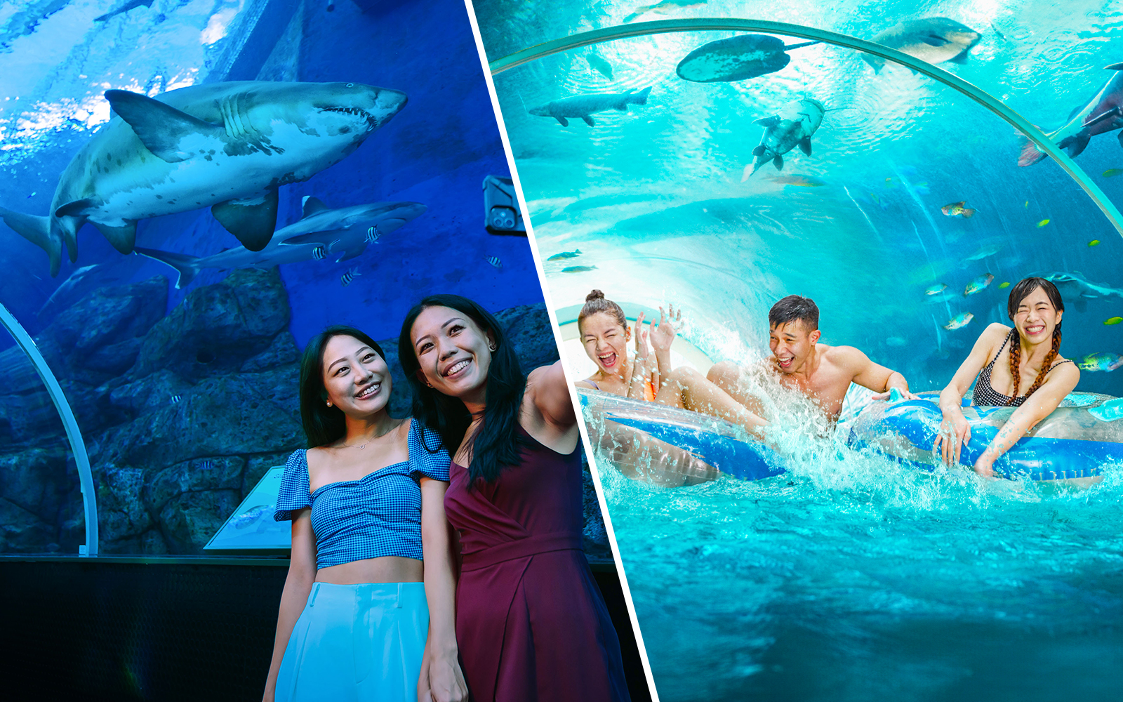 Combo (Save 5%): S.E.A. Aquarium + Adventure Cove Waterpark Tickets