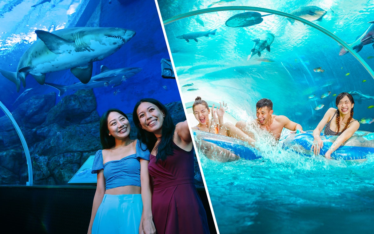 Visitors enjoying marine life at S.E.A. Aquarium and water slides at Adventure Cove Waterpark.