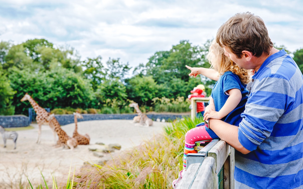 Father and daughter observing giraffes at Dublin Zoo.