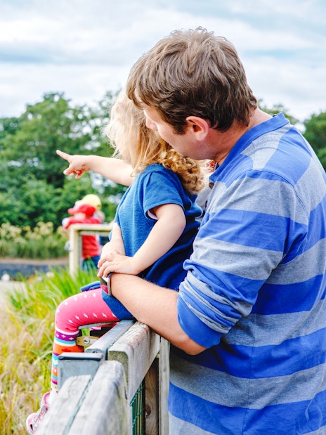 Father and daughter observing giraffes at Dublin Zoo.