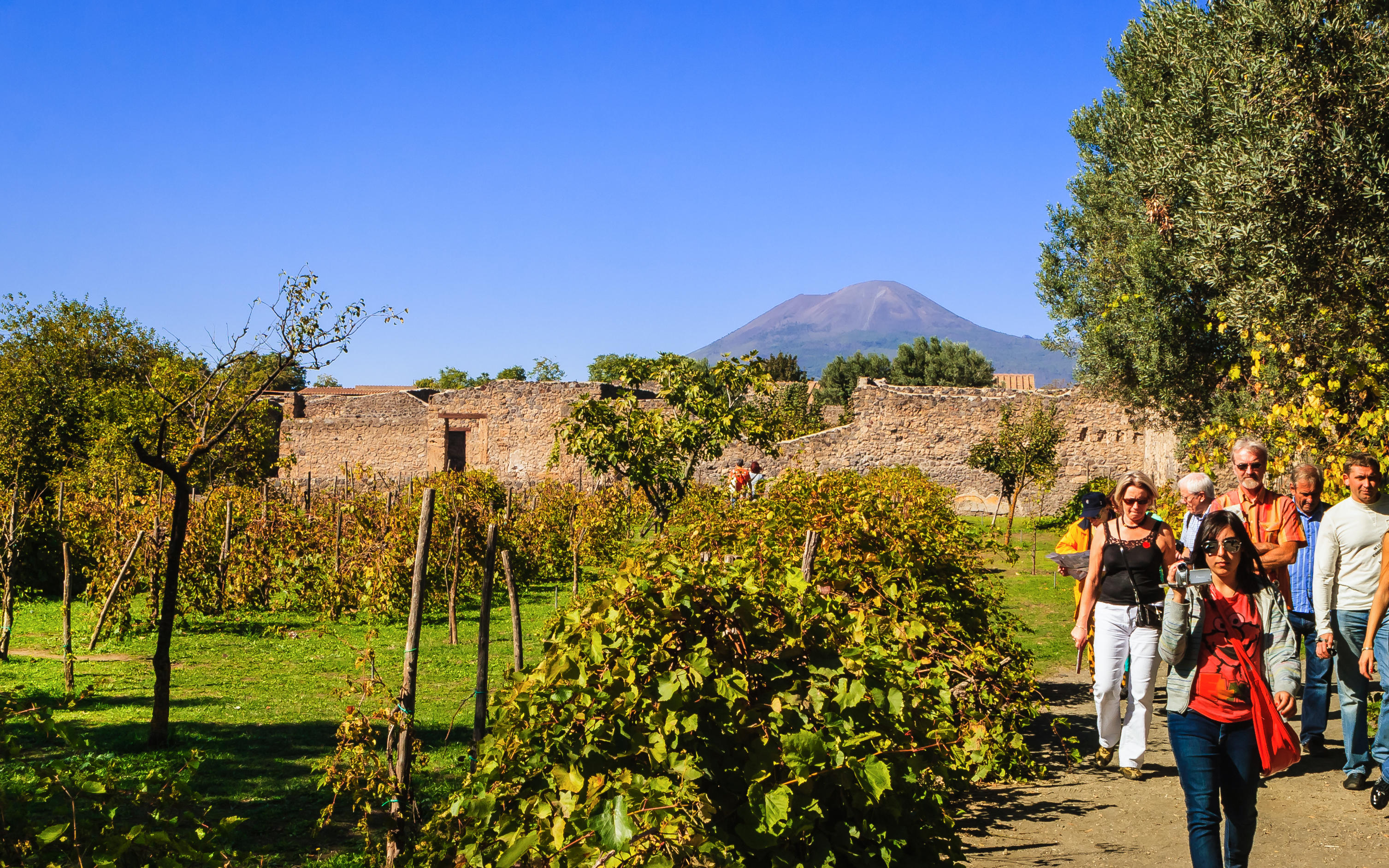 Friends walking through vineyard with Mount Vesuvius in background, Naples wine tasting tour.