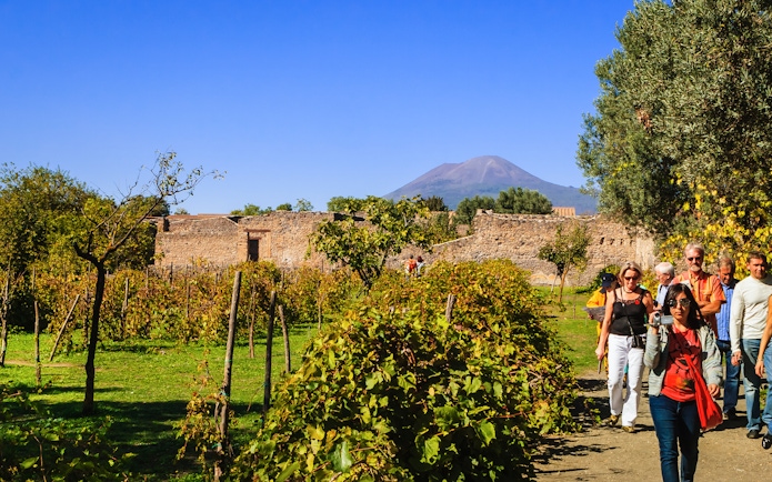 Friends walking through vineyard with Mount Vesuvius in background, Naples wine tasting tour.