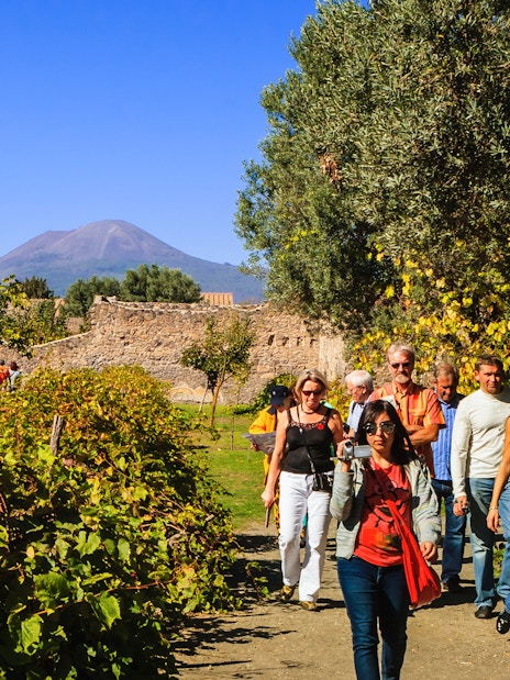 Friends walking through vineyard with Mount Vesuvius in background, Naples wine tasting tour.