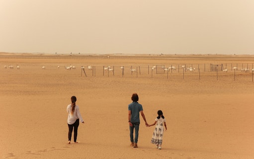 Visitors walking towards a herd of oryx in the desert during a sunrise safari.