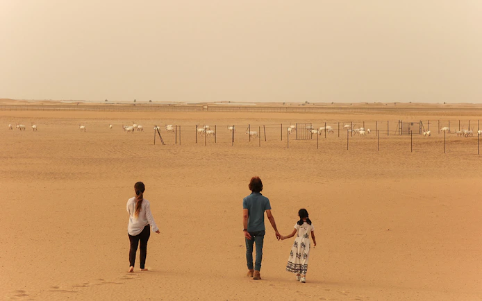 Visitors walking towards a herd of oryx in the desert during a sunrise safari.