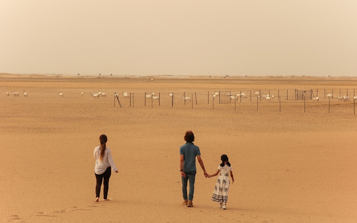 Visitors walking towards a herd of oryx in the desert during a sunrise safari.
