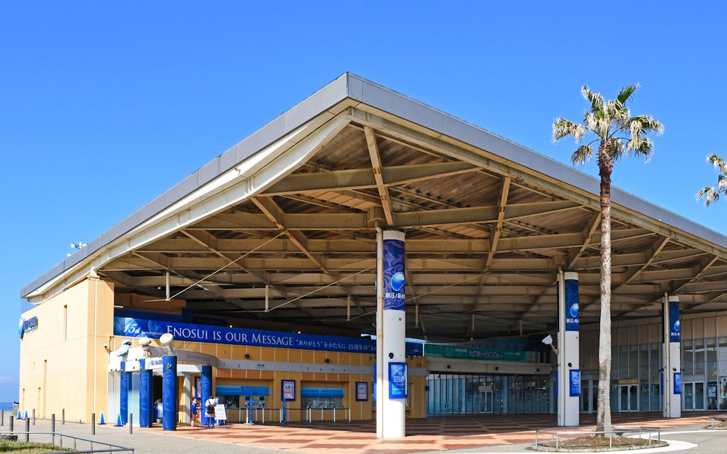 Enoshima Aquarium entrance with palm trees and blue sky.